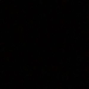 Meet your Posher, Jake